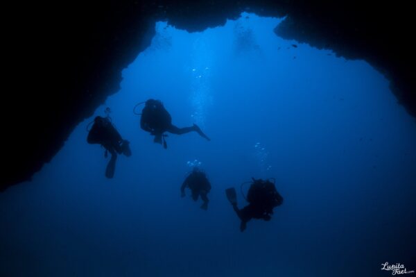 Diving Lanzarote