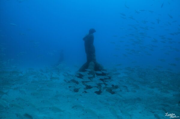 Museum Scuba Diving