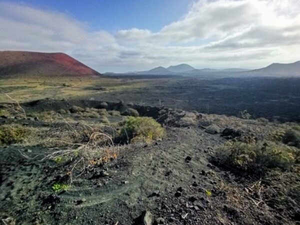 Discovering La Geria - Image 3